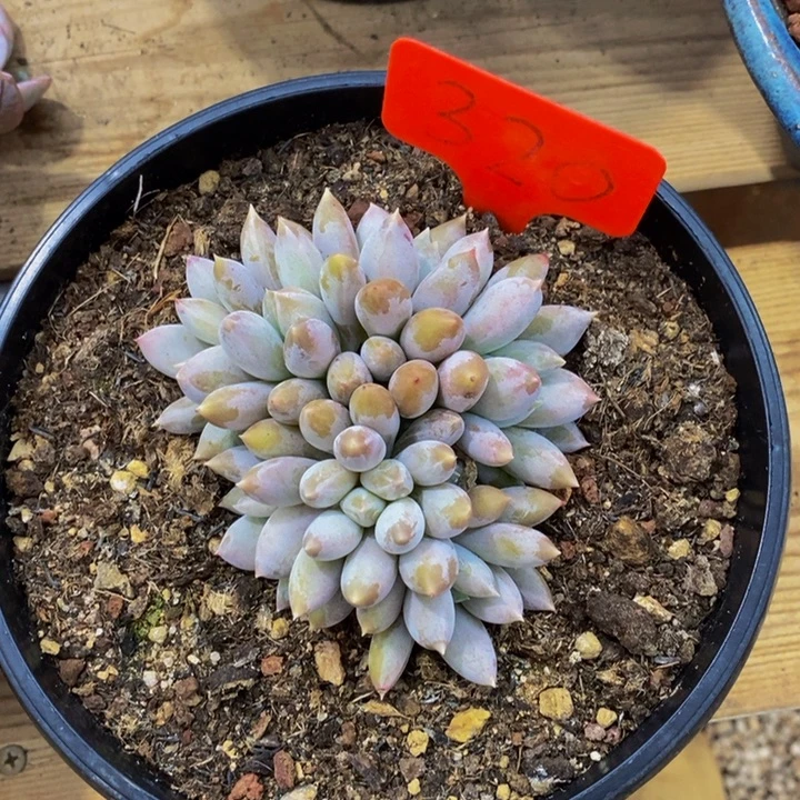 你不去上班就好的呀