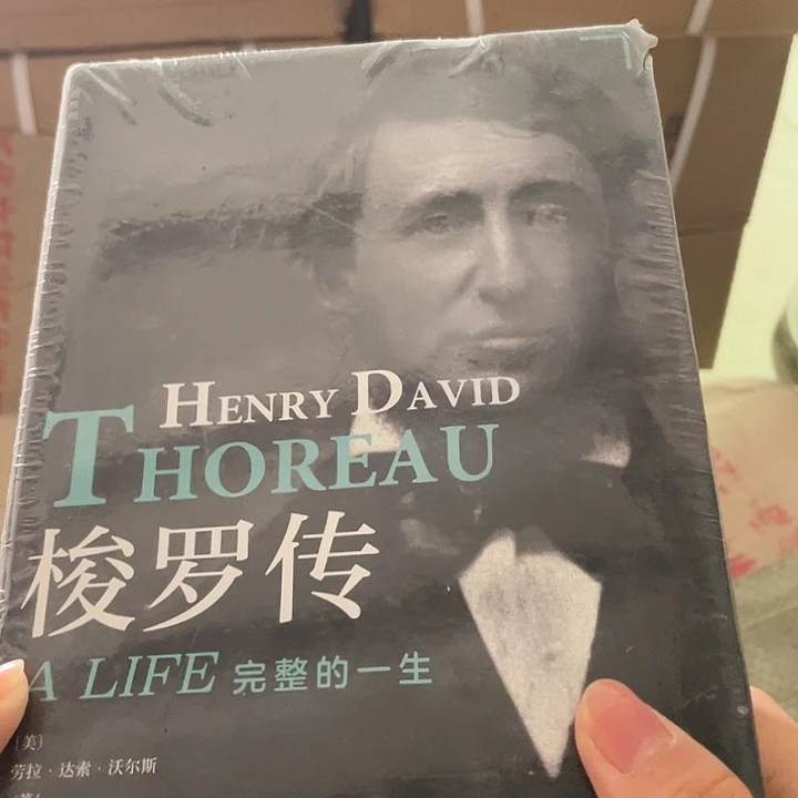 梭罗传微瑕微瑕微瑕