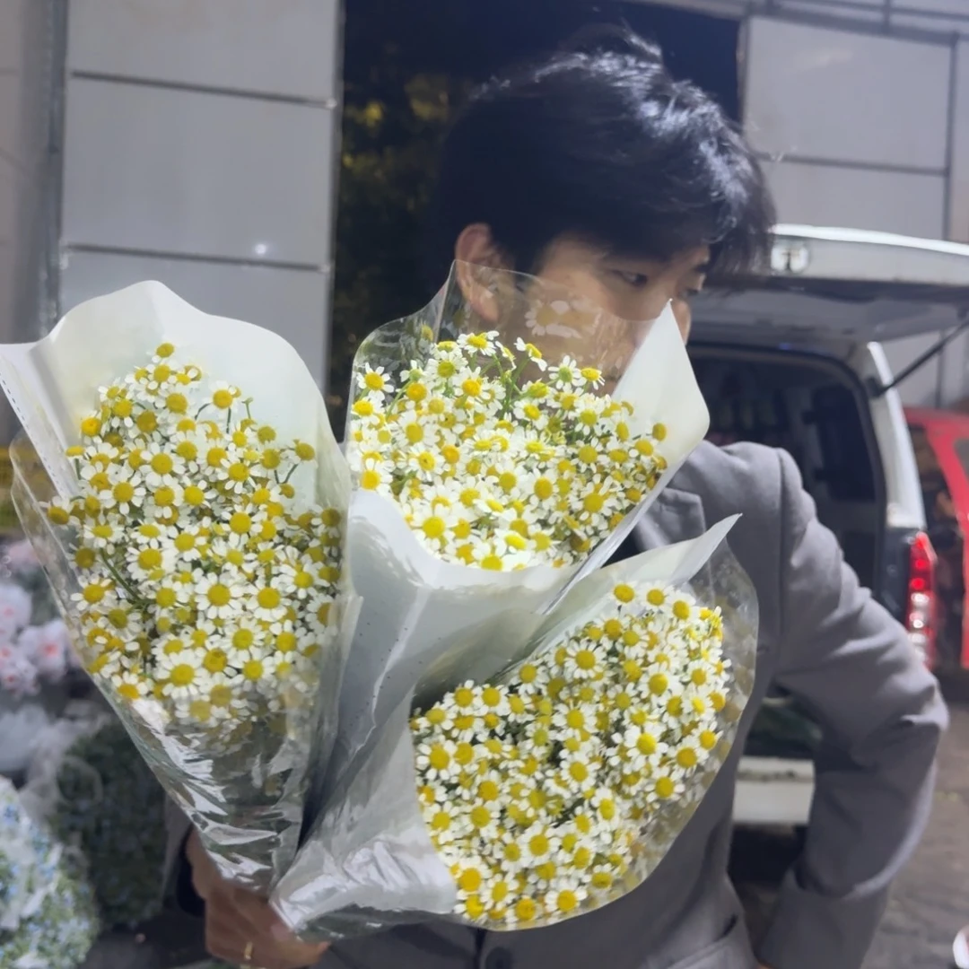 洋甘菊3扎包邮价秒杀