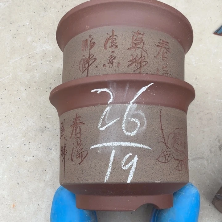 花盆紫砂紫砂的花
