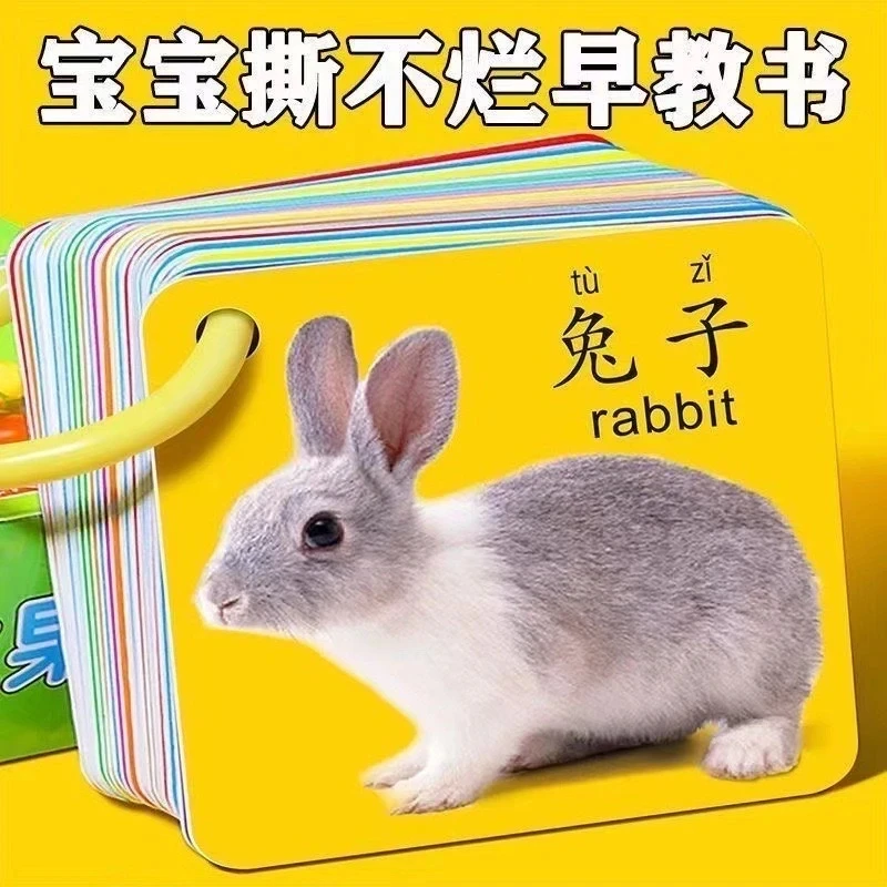 宝宝认知卡片0-3岁看图识认物早教创意玩具卡片幼儿五官数字书