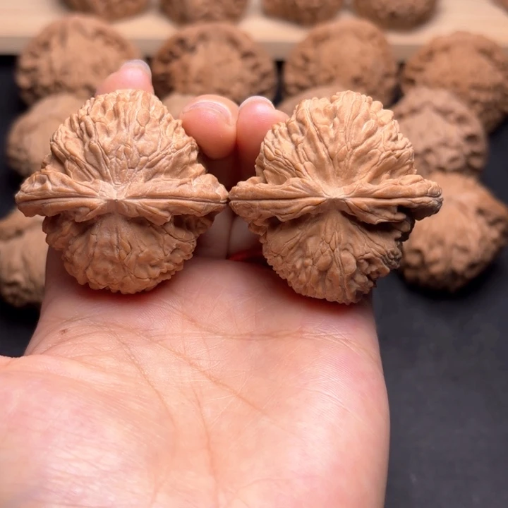 文玩核桃把件44白狮子