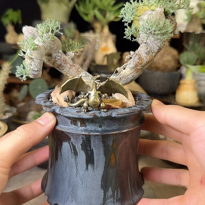 一物一拍黑皮月界720