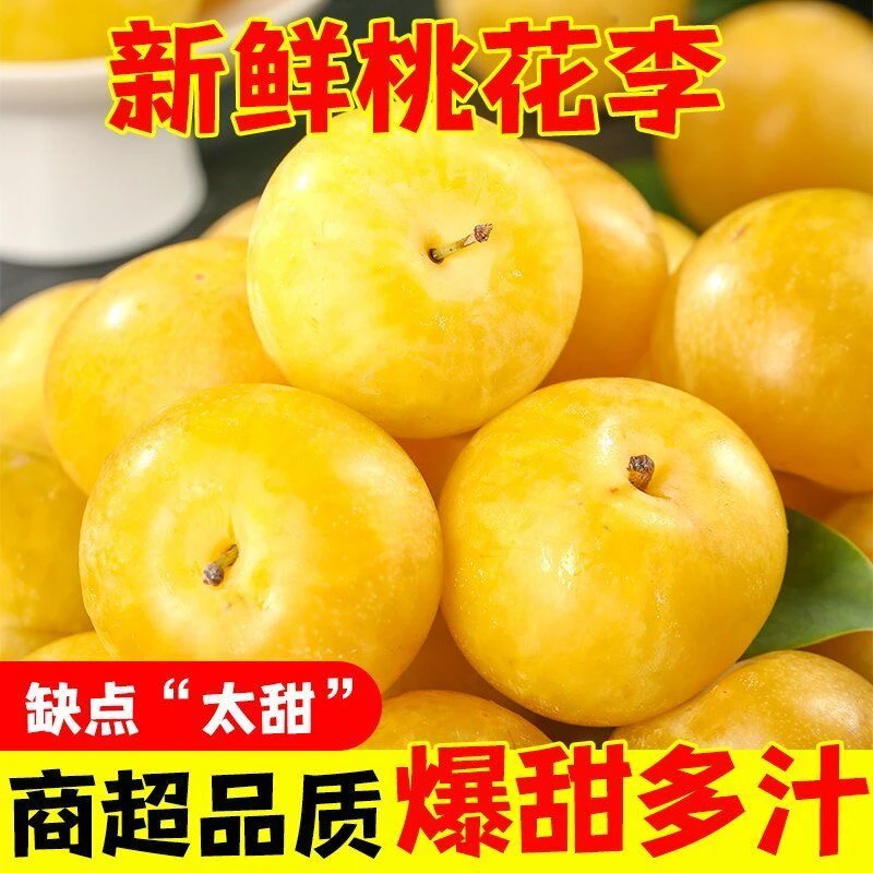 【真甜】稀有黄金冰糖李恐龙蛋应季水果姐妹款桃花冰糖玉皇李现摘