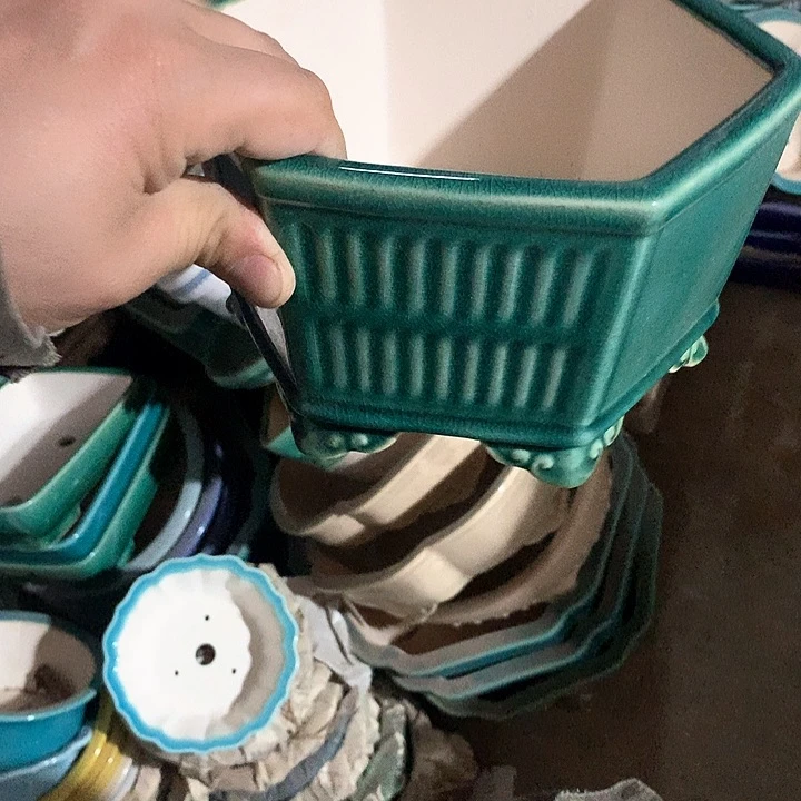 紫砂我要努力做自己喜欢