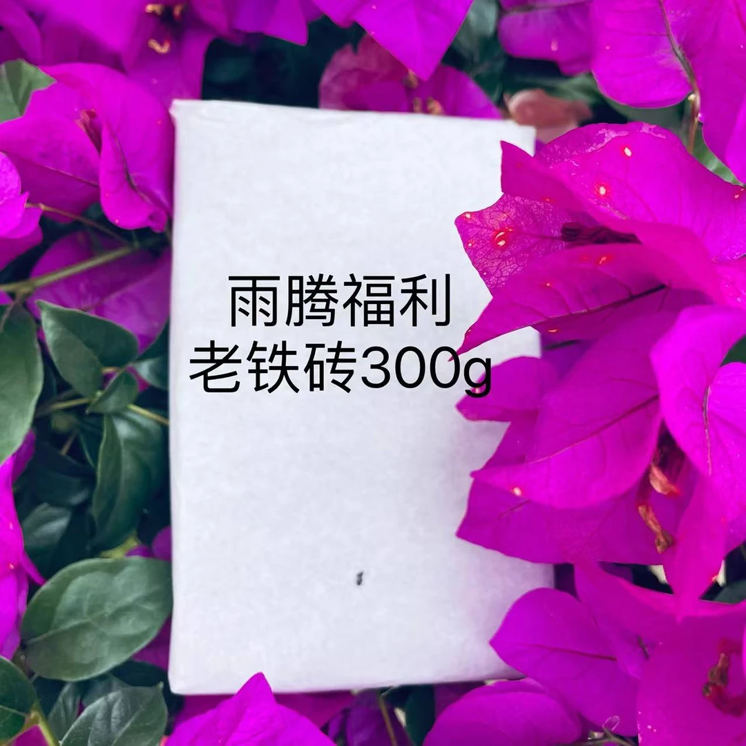 *雨腾小号- S标“WL铁”老铁砖300g/砖