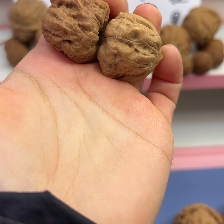 蛤蟆头30 尺 全品无修