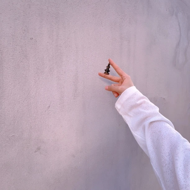 钛钢婚庆饰品 叶查婚庆饰品简约婚庆饰品 星