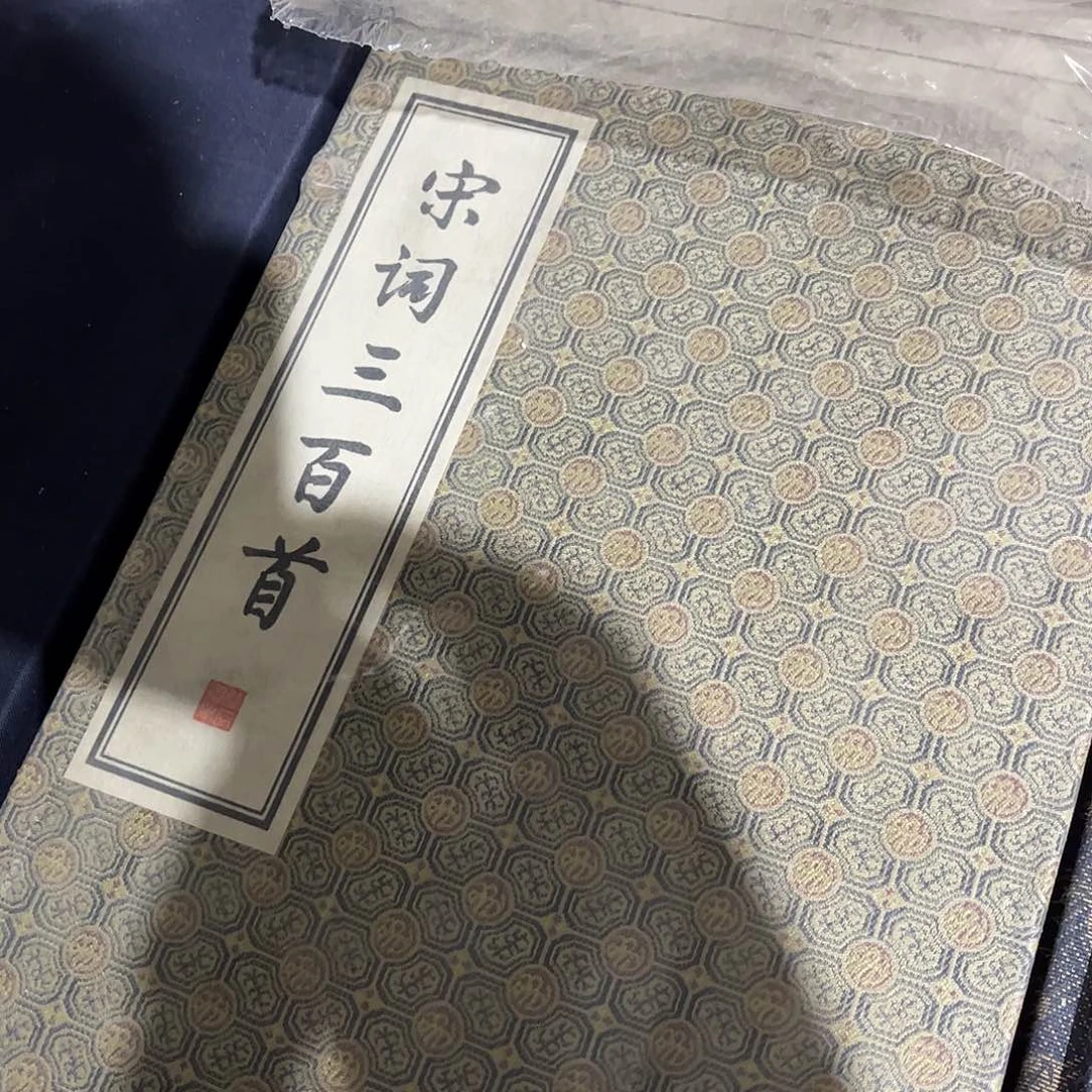 花皮宋词三百首绝美