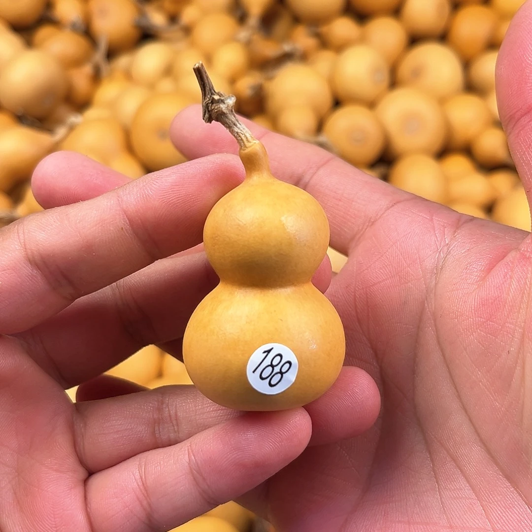 三葫芦葫芦葫芦葫芦 188