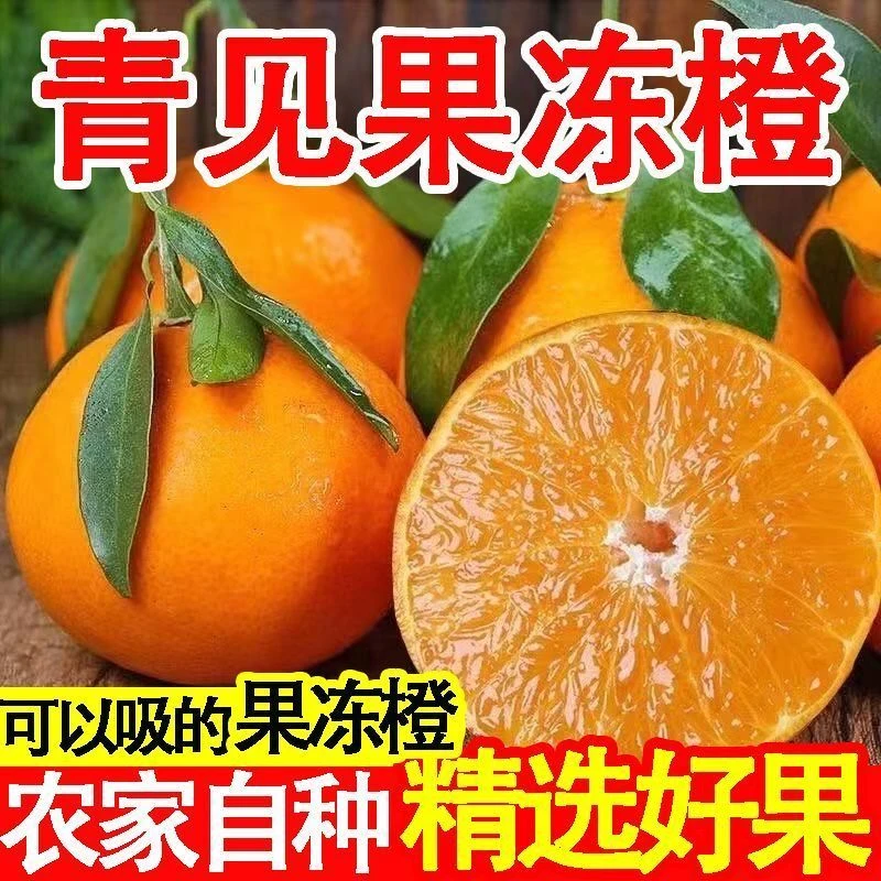 【四川青见柑橘】果冻橙新鲜水果应季皇后新鲜橘子大果现货产地直发