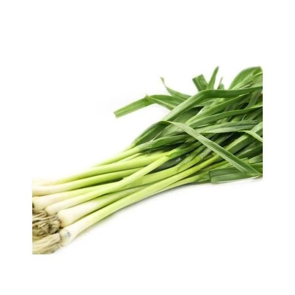 新鲜蒜苗1斤左右