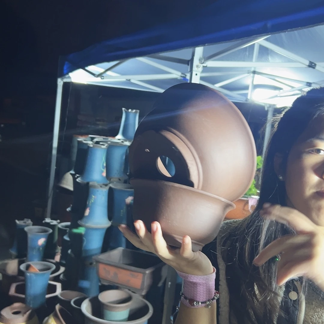 17+14查林小碗花盆花盆花盆