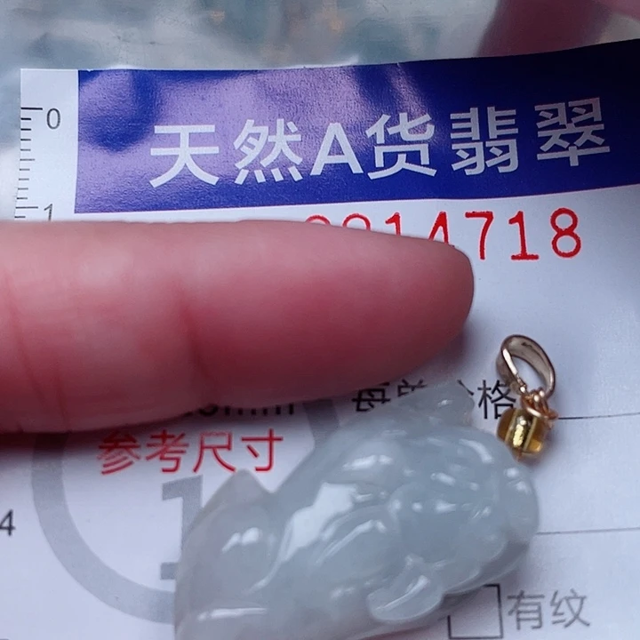 翡翠未镶嵌吊坠(赠链)