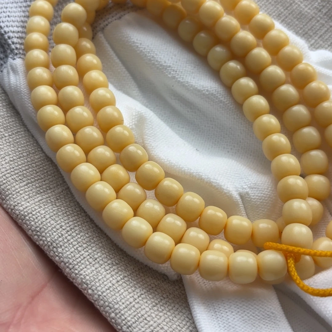 骆驼牙手串/手链骆驼牙