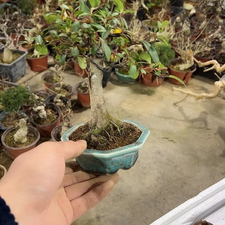 云***风发发发发发发发发发发发