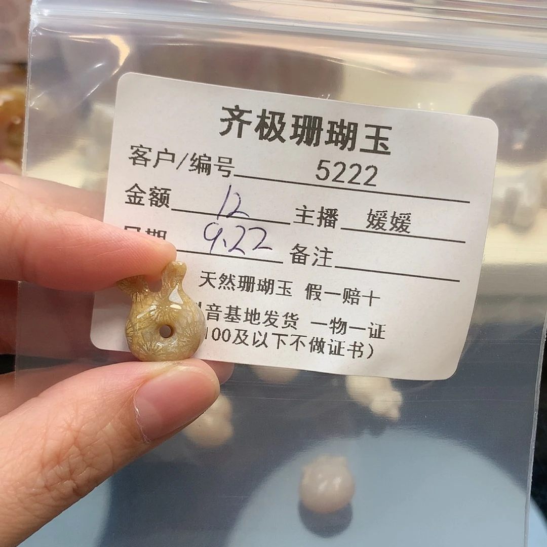 颈饰未镶嵌硅化珊瑚（珊瑚玉）彩*