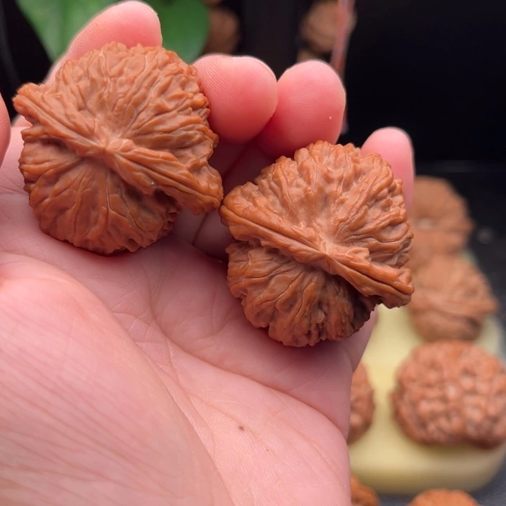 H***生把件文玩核桃白狮一全品