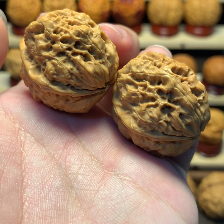 把件文玩核桃35五毒蟾