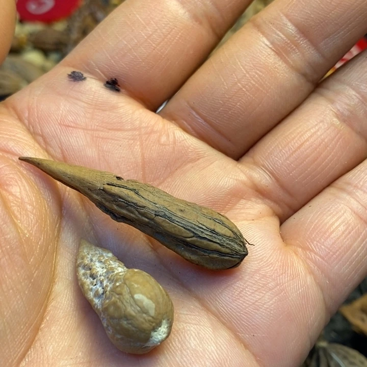 风***伯文玩核桃吊坠娜姐3