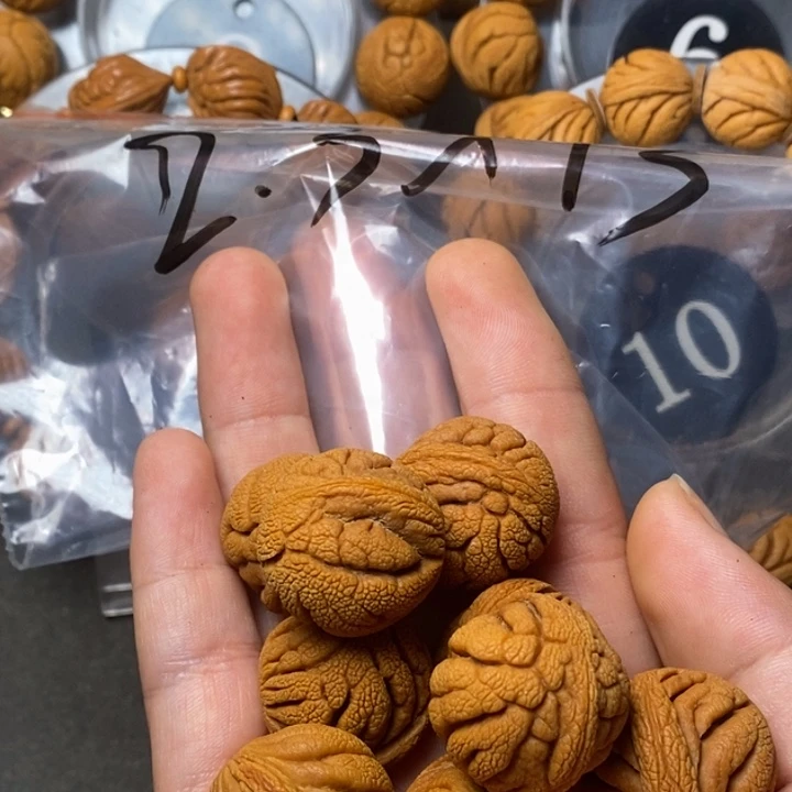 木质类秦岭山桃核