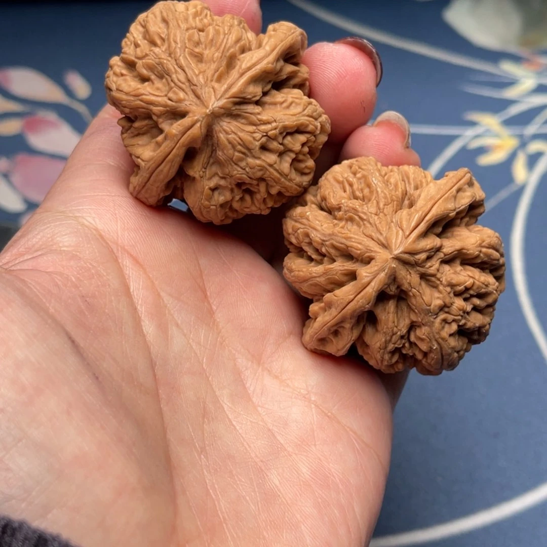 文玩核桃把件粗筋42