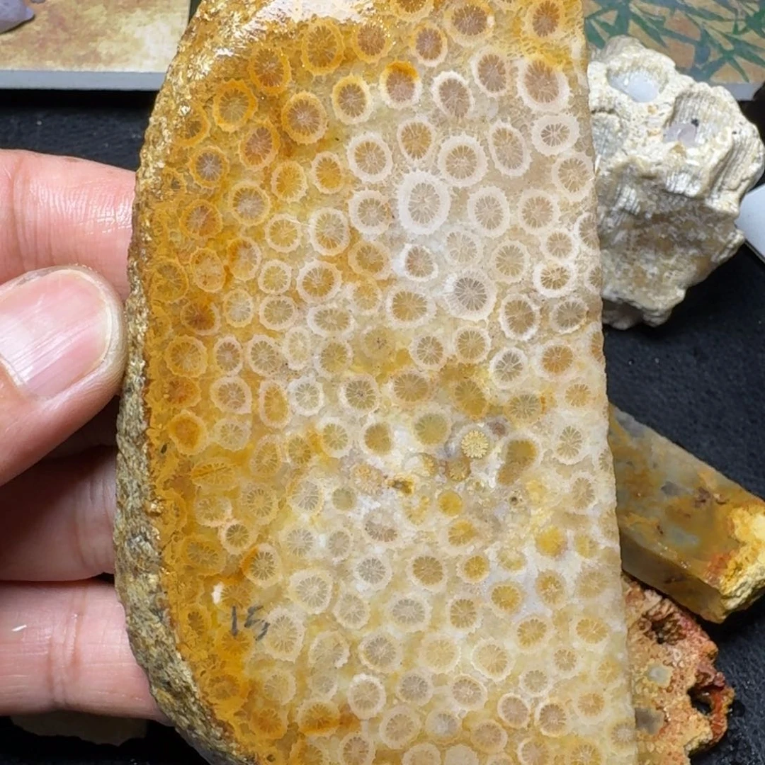 硅化玉片料 未镶嵌