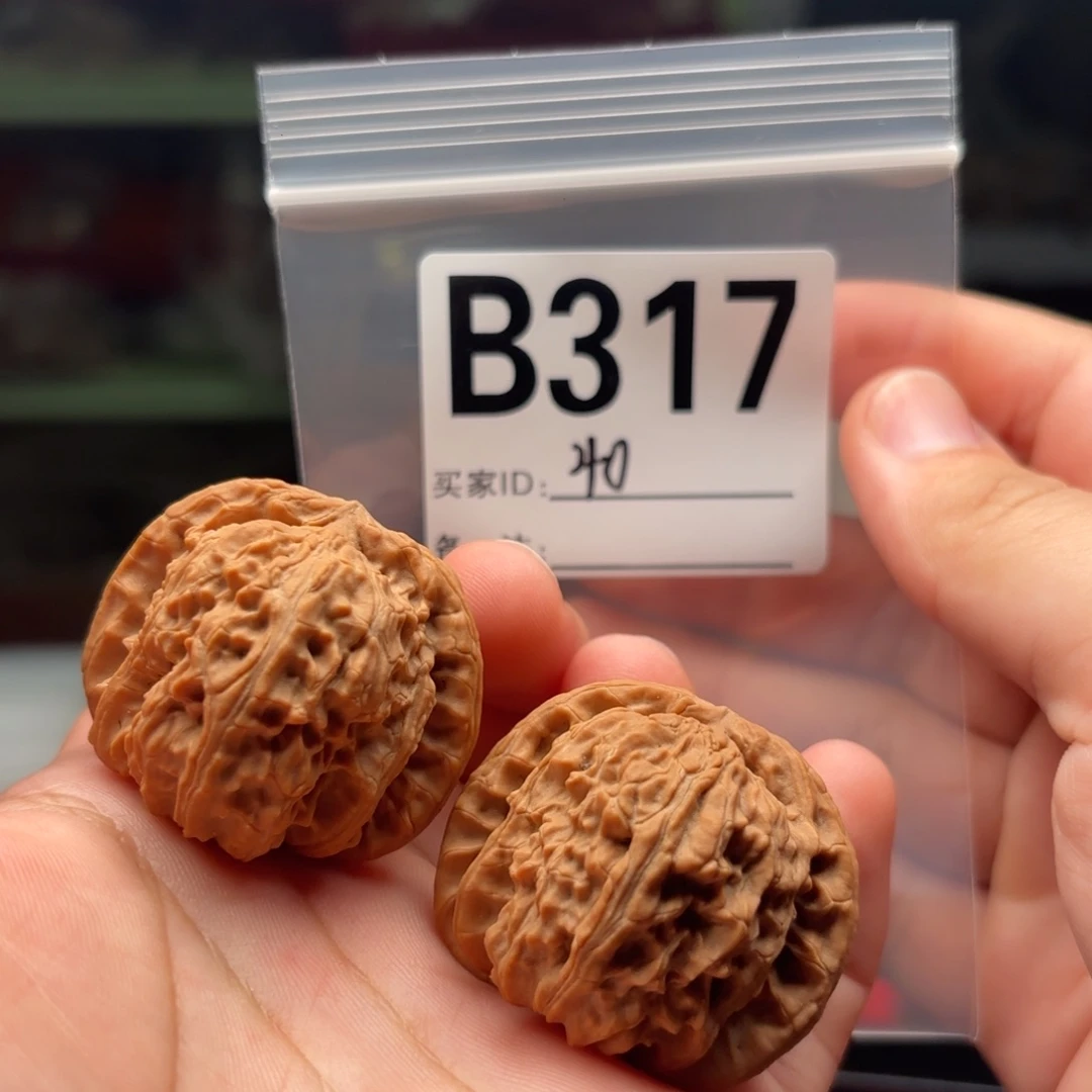 吊坠文玩核桃42白狮子B317