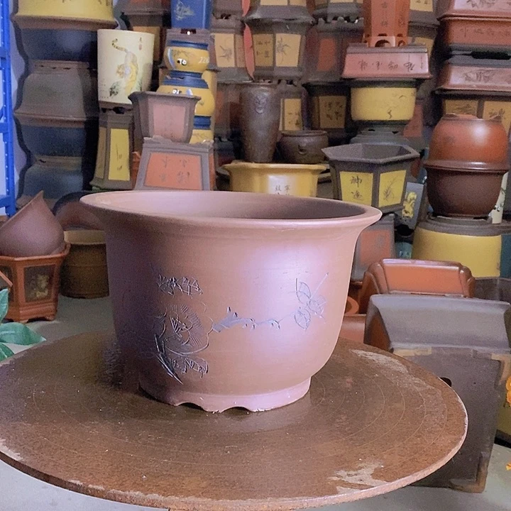 无花朵哈哈哈哈哈哈哈哈30平角金钟