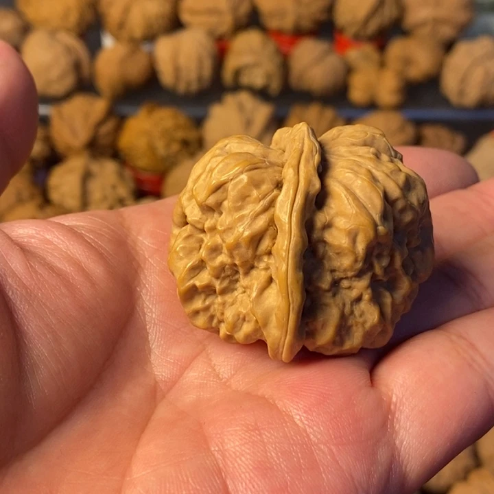 只***人大叶紫檀（黑酸枝木类）