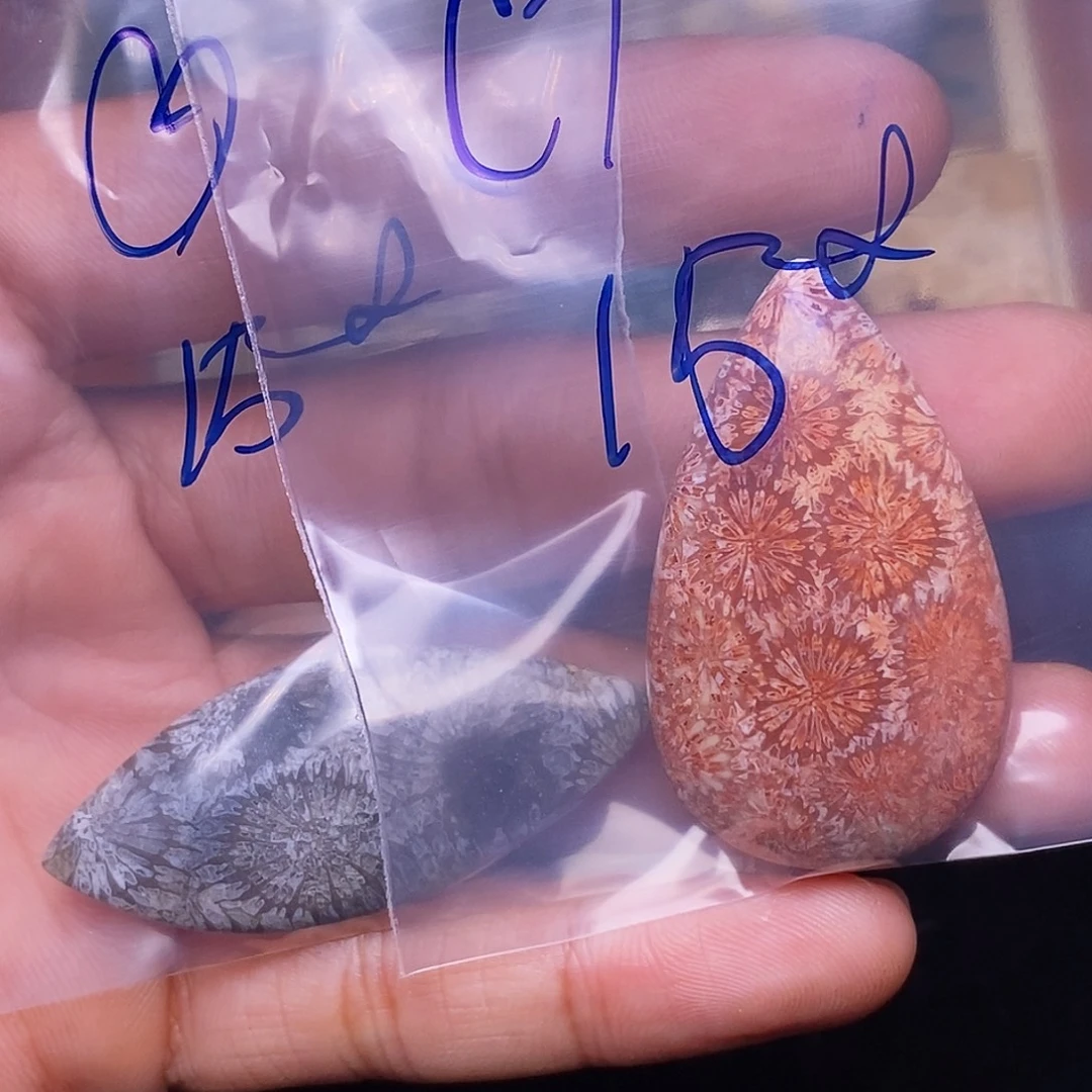 *****合金珊瑚玉硅化玉
