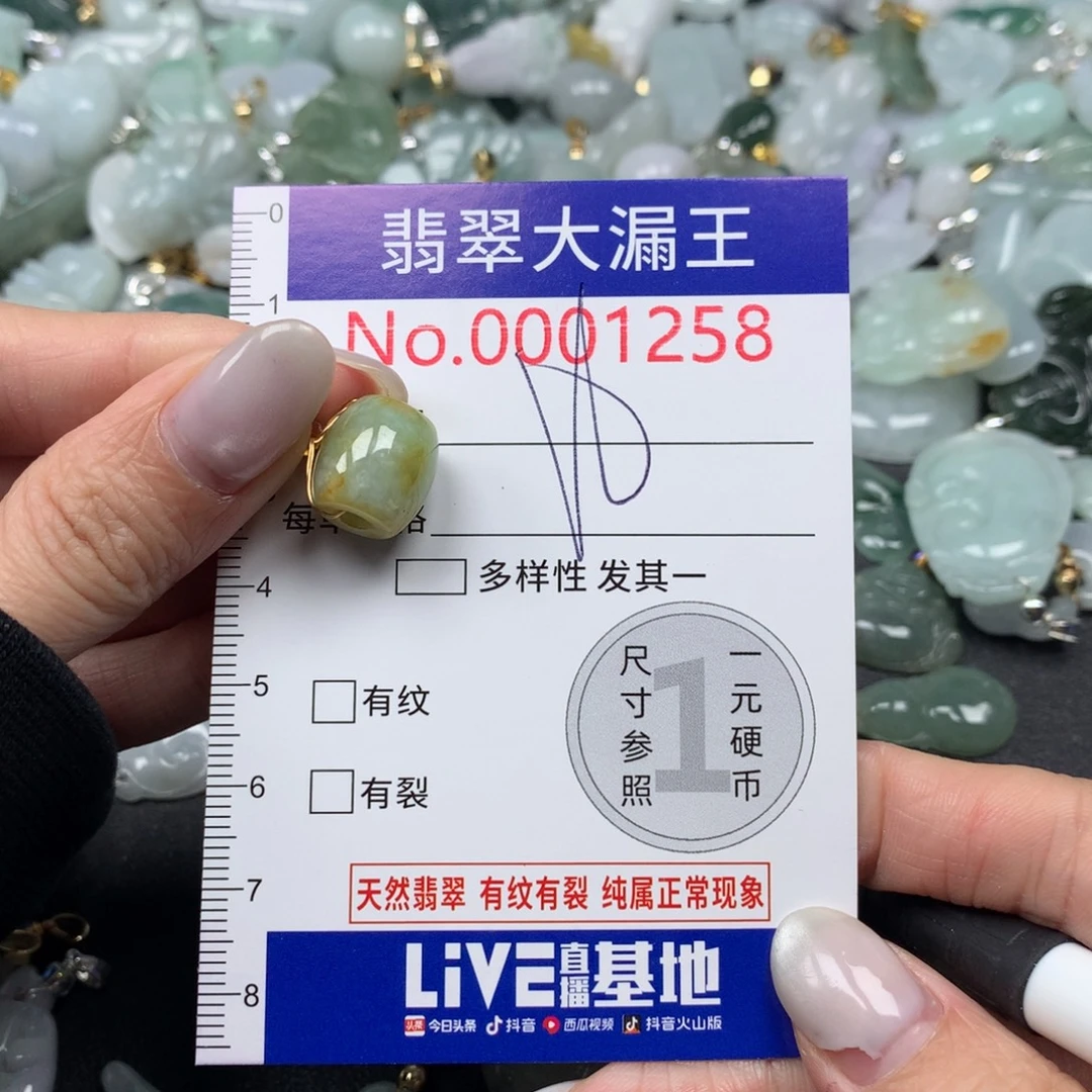 翡翠未镶嵌吊坠(不含链)