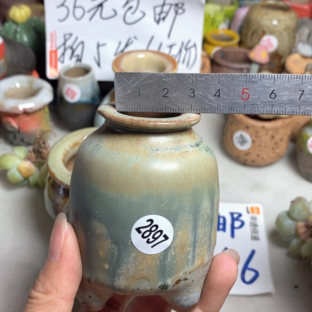 拍5送一个小礼物