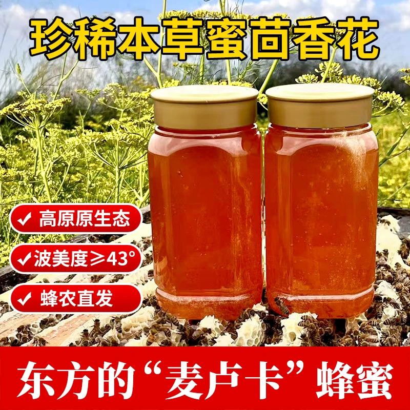 高原小茴香蜂蜜海拔3000➕祁连山下纯天然0污染自然酿造成熟