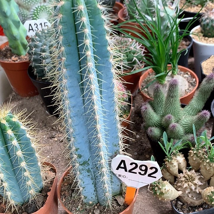 M****r333333333333333