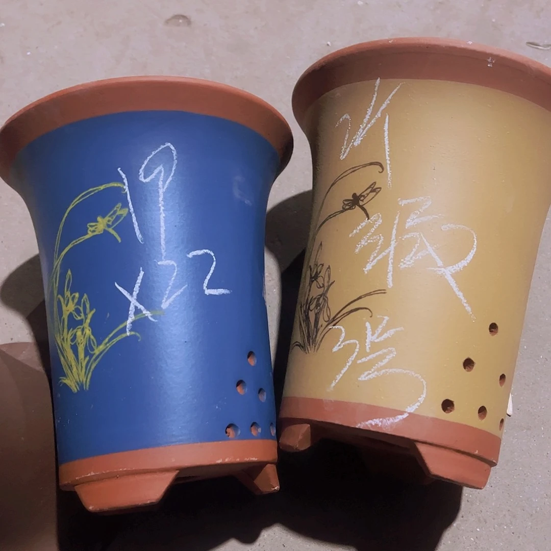 紫砂3号…………………………