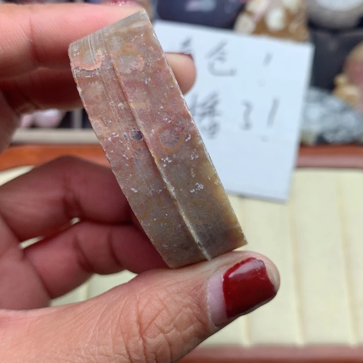 硅化珊瑚（珊瑚玉）颈饰未镶嵌