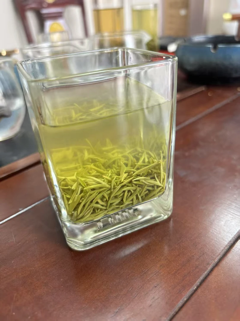 2025信阳毛尖茶王品鉴款（5克一小包）