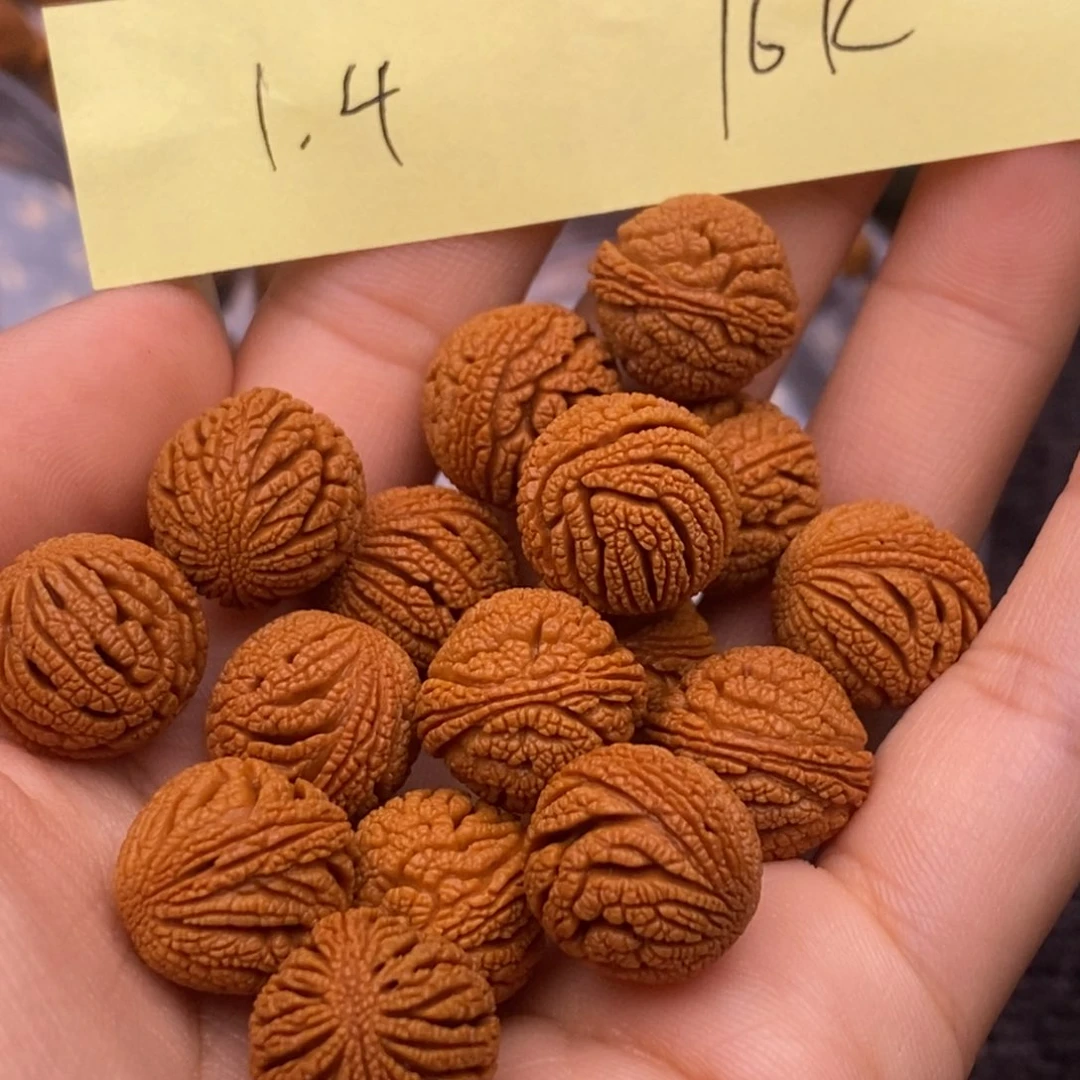 秦岭山脉龙纹桃核