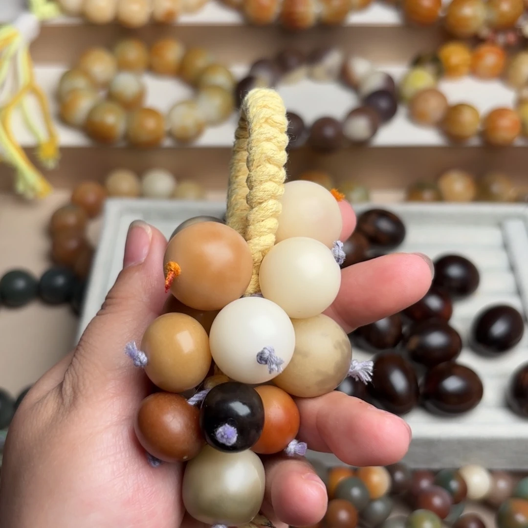 手串菩提根/象牙果多宝葡萄 有瑕