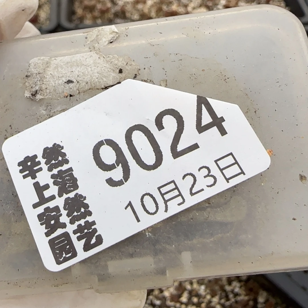 小***.10.23.赤焰.9024补差3