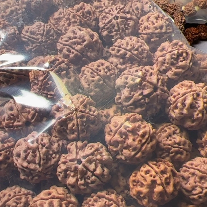 乐***-金刚菩提手串散籽一包