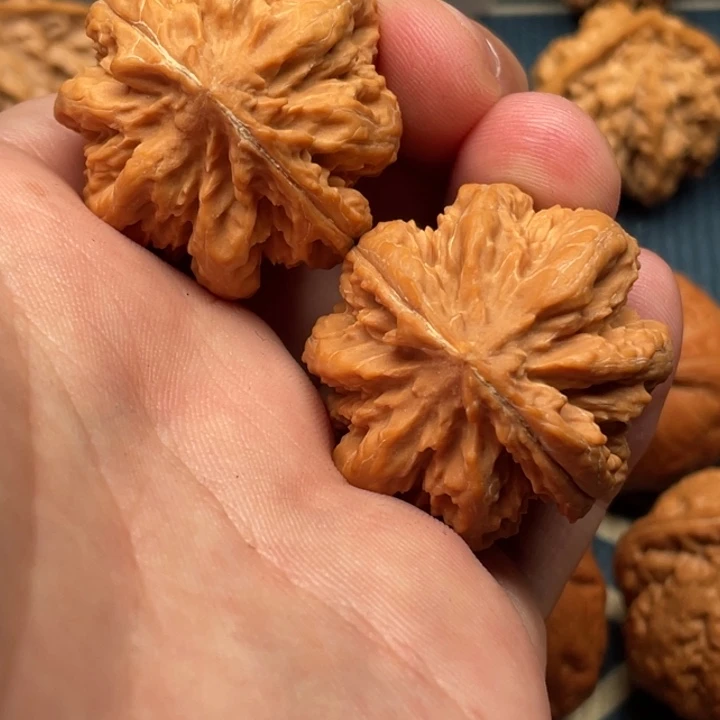 文玩核桃把件霸王龙