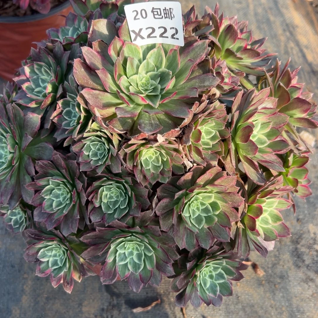 222水晶，满20包邮嘟叮熊
