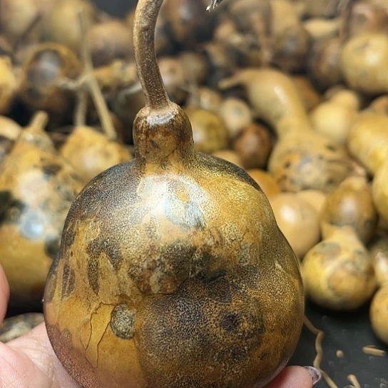 海**A葫芦葫芦葫芦葫芦葫芦