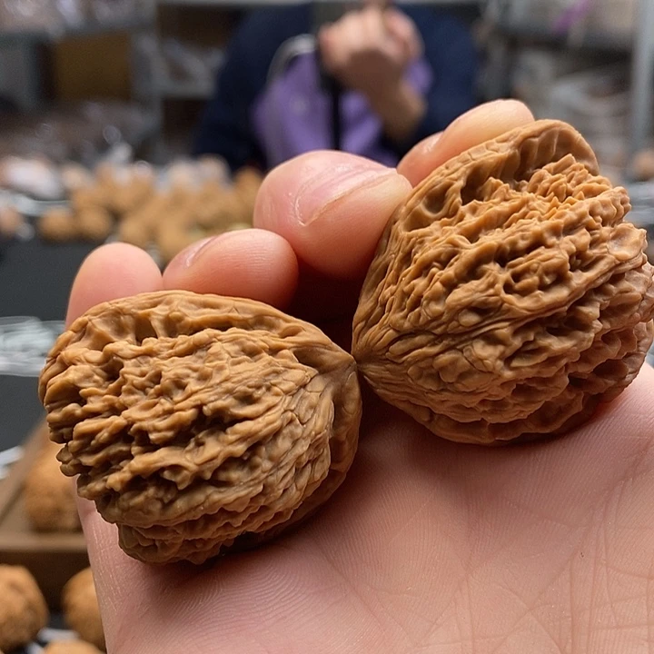 大叶紫檀（黑酸枝木类）天残脚