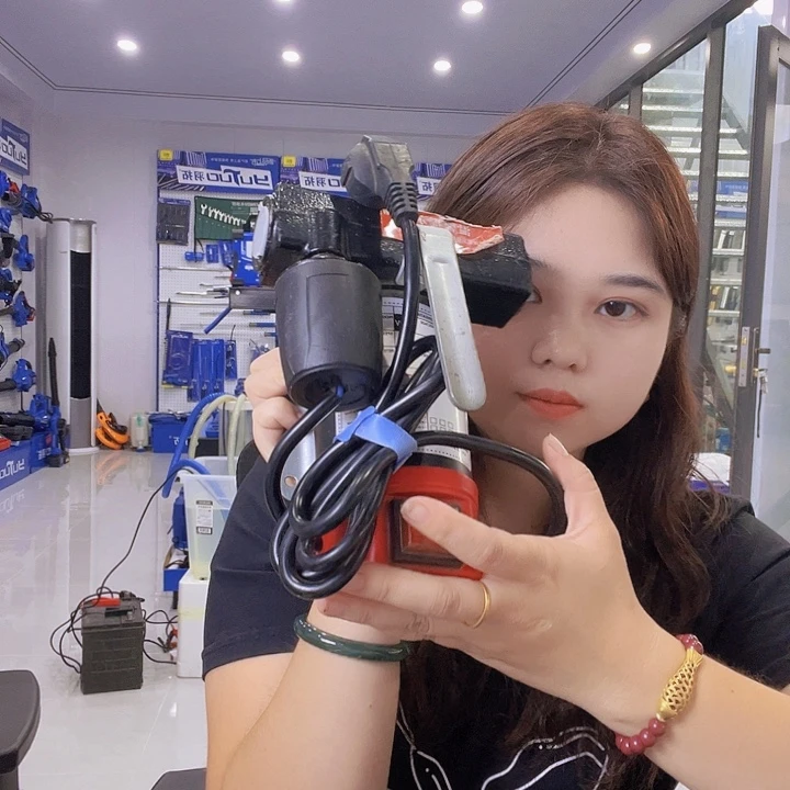 威世利220v抽油泵外置