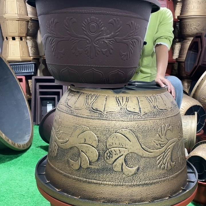 圆盆紫砂六零两个