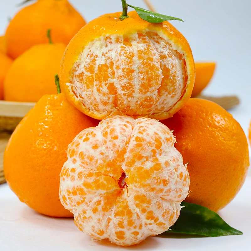 四川春见耙耙柑4.5/8斤 当季新鲜水果香甜多汁美味可口