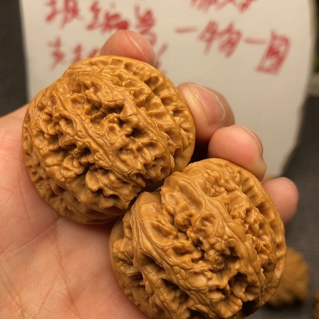 核桃粗筋42尺寸编号881